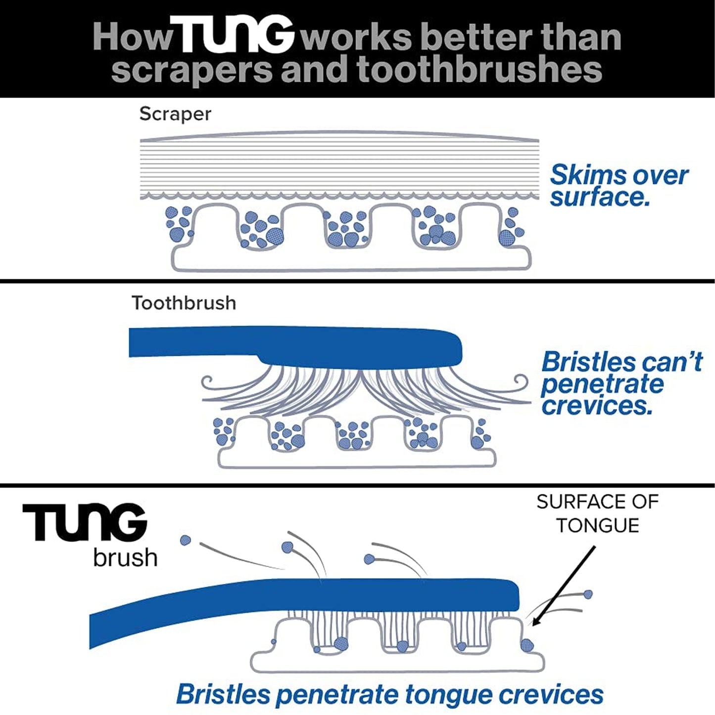 Tung Brush with Sample Gel