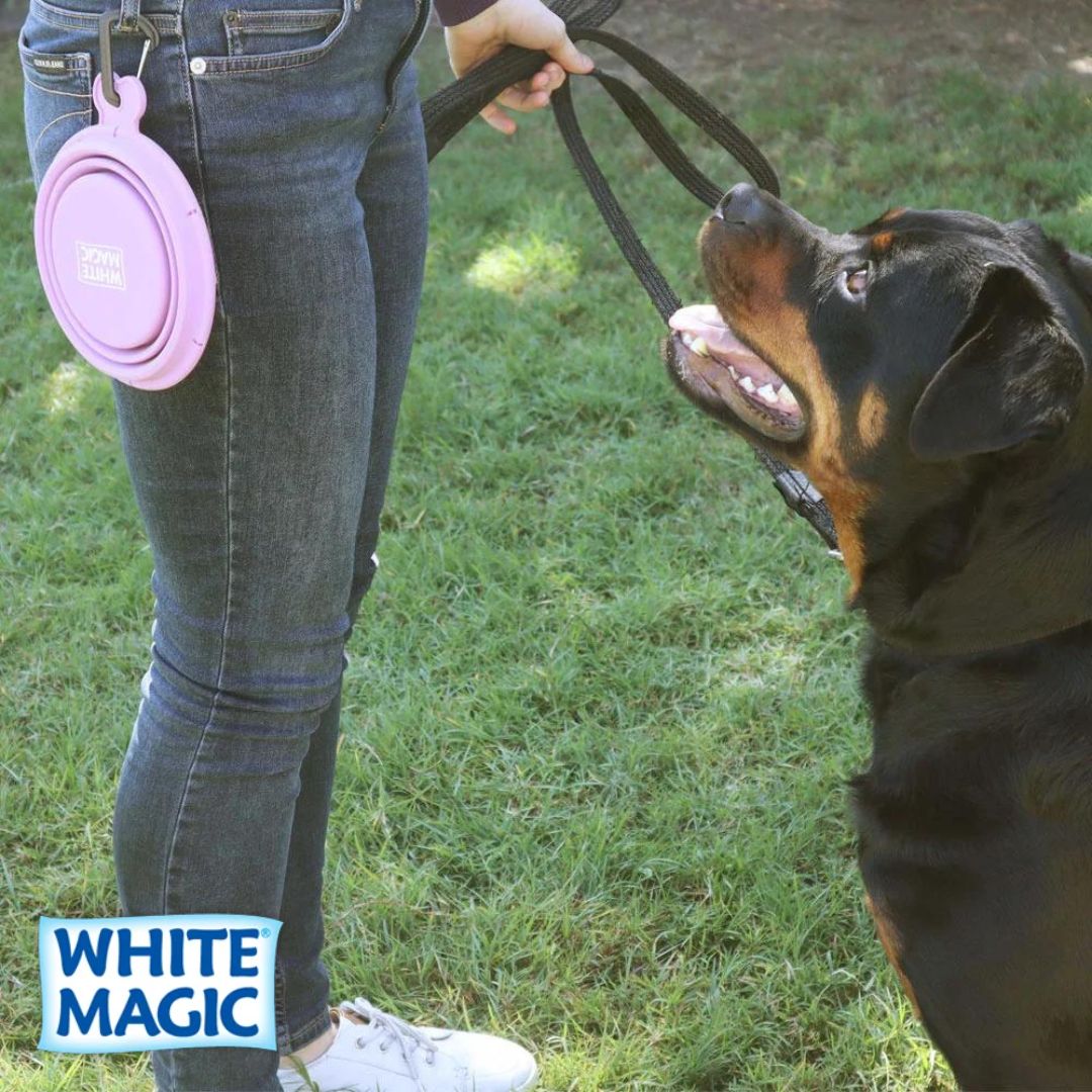 WHITE MAGIC Collapsible Travel Bowl