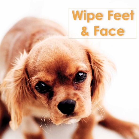 WHITE MAGIC Pet Grooming Glove