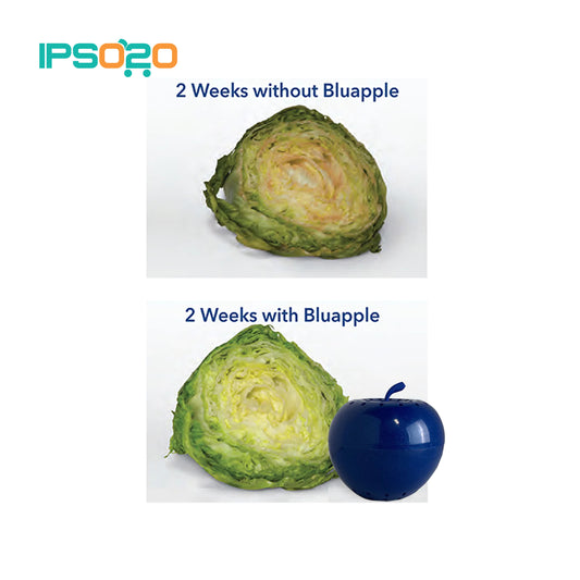 BLUAPPLE® 1 Year Refill x 8pcs