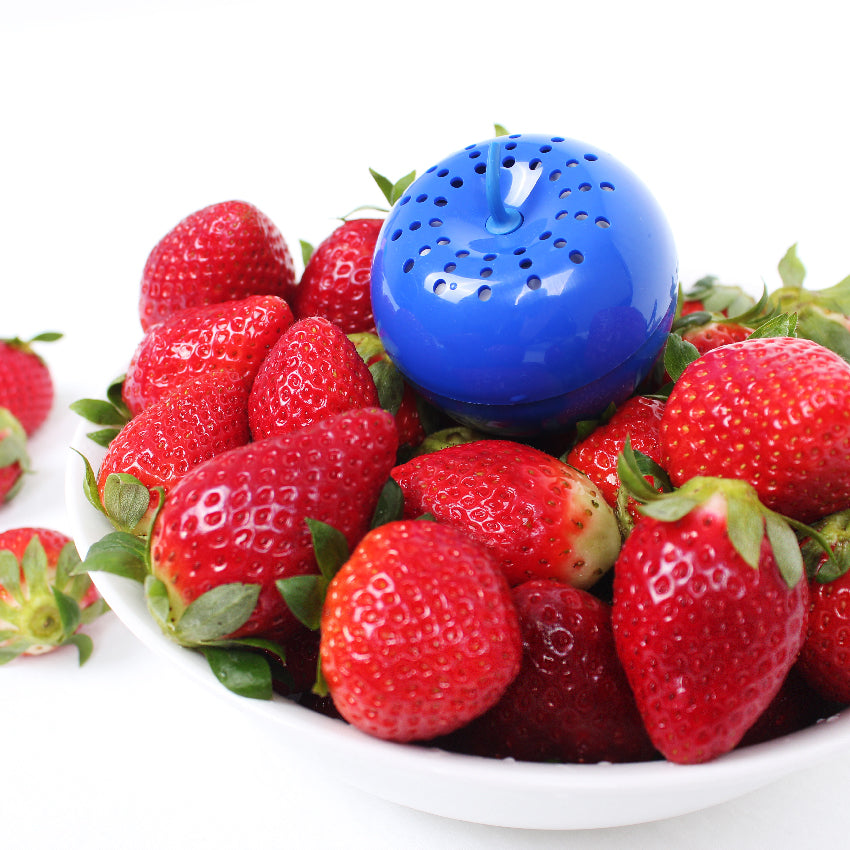 White Magic Bluapple Standard Pack
