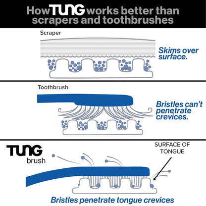 Tung Brush with Sample Gel