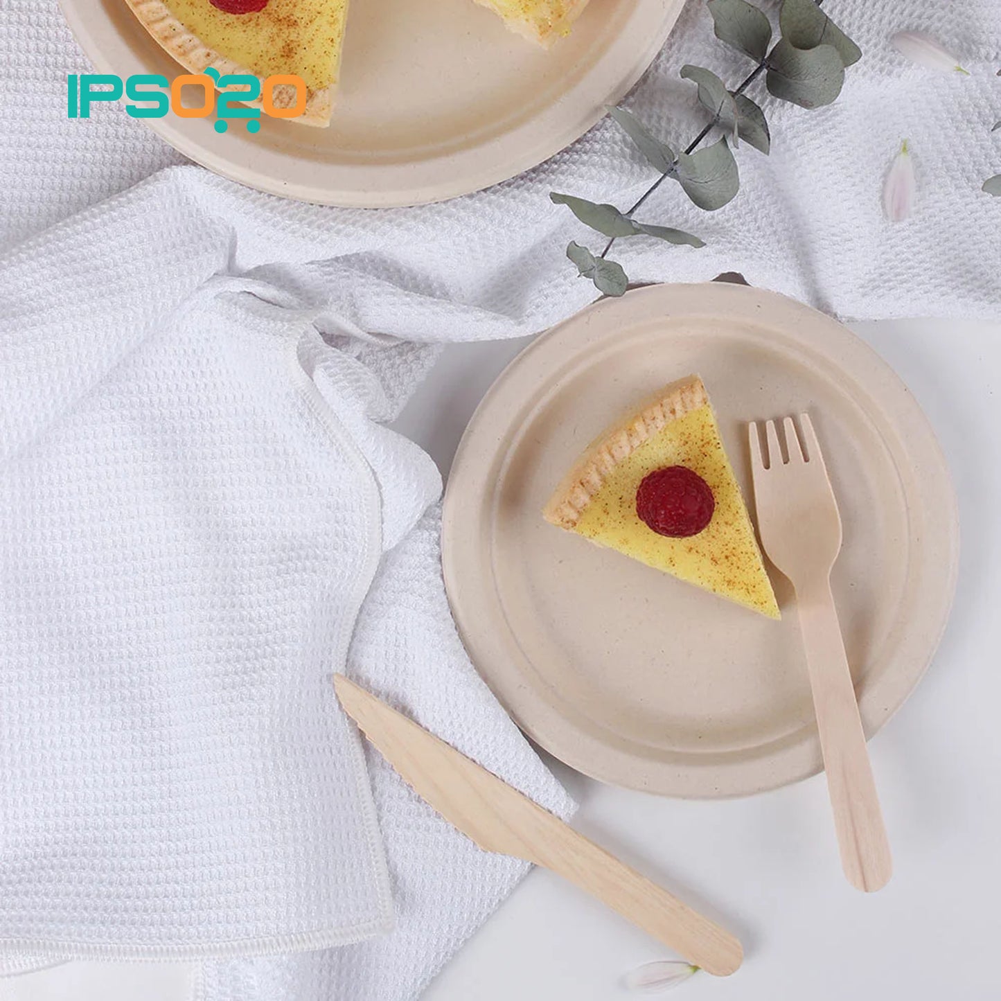Eco Basics Biodegradable Party Set