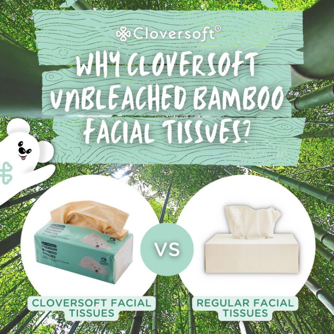 CLOVERSOFT Compact Unbleached Bamboo Premium Facial Tissues 3 Ply