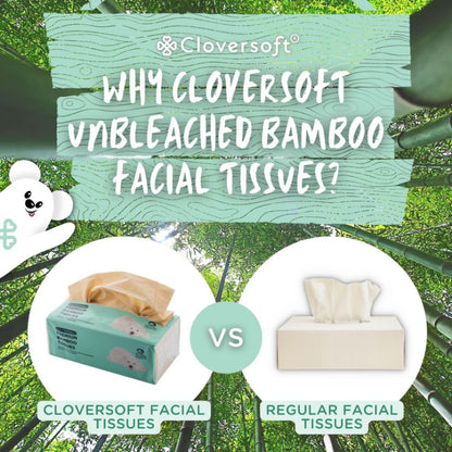 CLOVERSOFT Compact Unbleached Bamboo Premium Facial Tissues 3 Ply