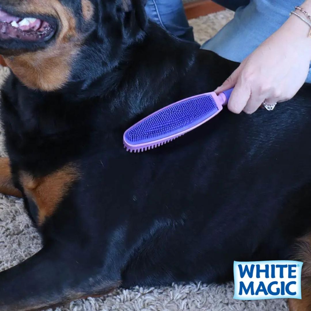 WHITE MAGIC Pet Hair Brush Duo