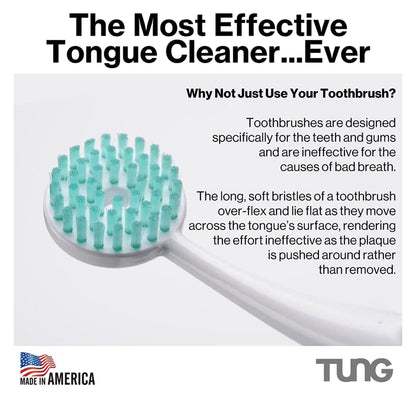 Tung Brush with Sample Gel