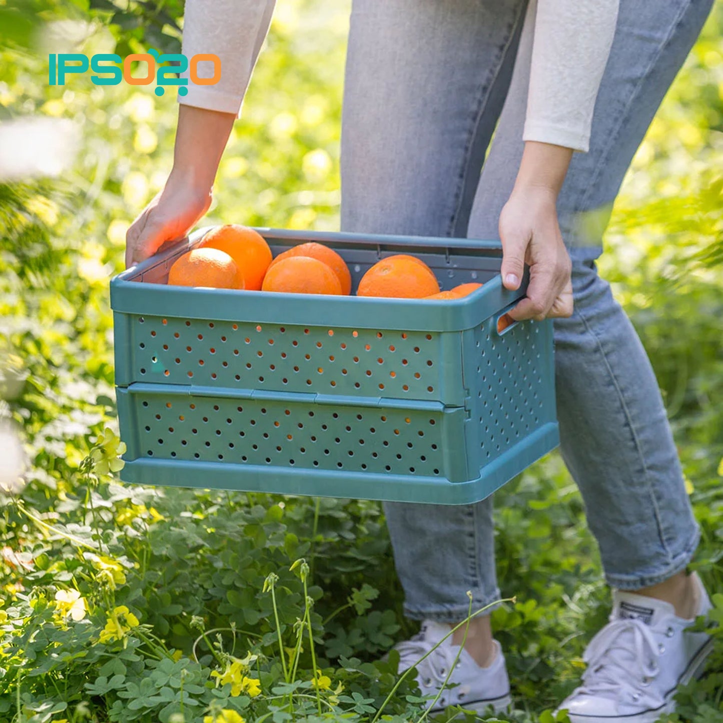 VIGAR Compact Foldable Crate - 11.3L