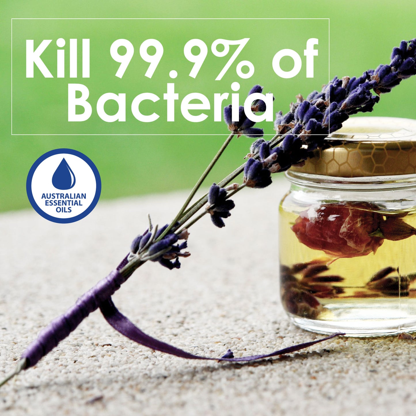 White Magic Eco Clean - Floor [ Palm Oil Free / Chlorine Free / Ammonia Free / Made with Australian Tea Tree and Eucalyptus Oil / Made in Australia - Australian Grown Ingredients Kills 99.9% of Bacteria (Proven by Testing conducted by Silliker) ]