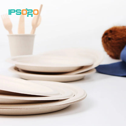 Eco Basics Biodegradable Party Set