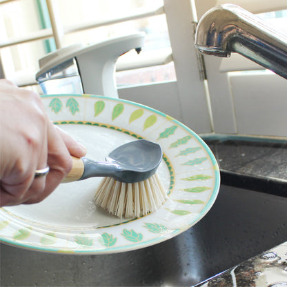 Eco Basics Dish Brush
