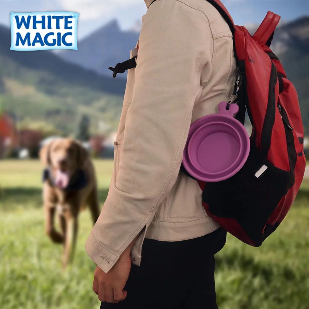 WHITE MAGIC Collapsible Travel Bowl